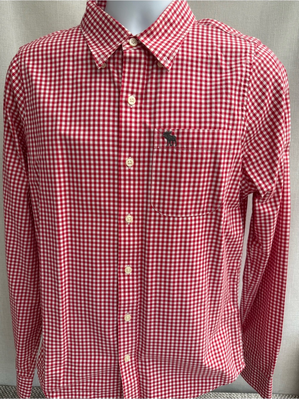Abercrombie & Fitch Red and White Gingham Button-Down Shirt